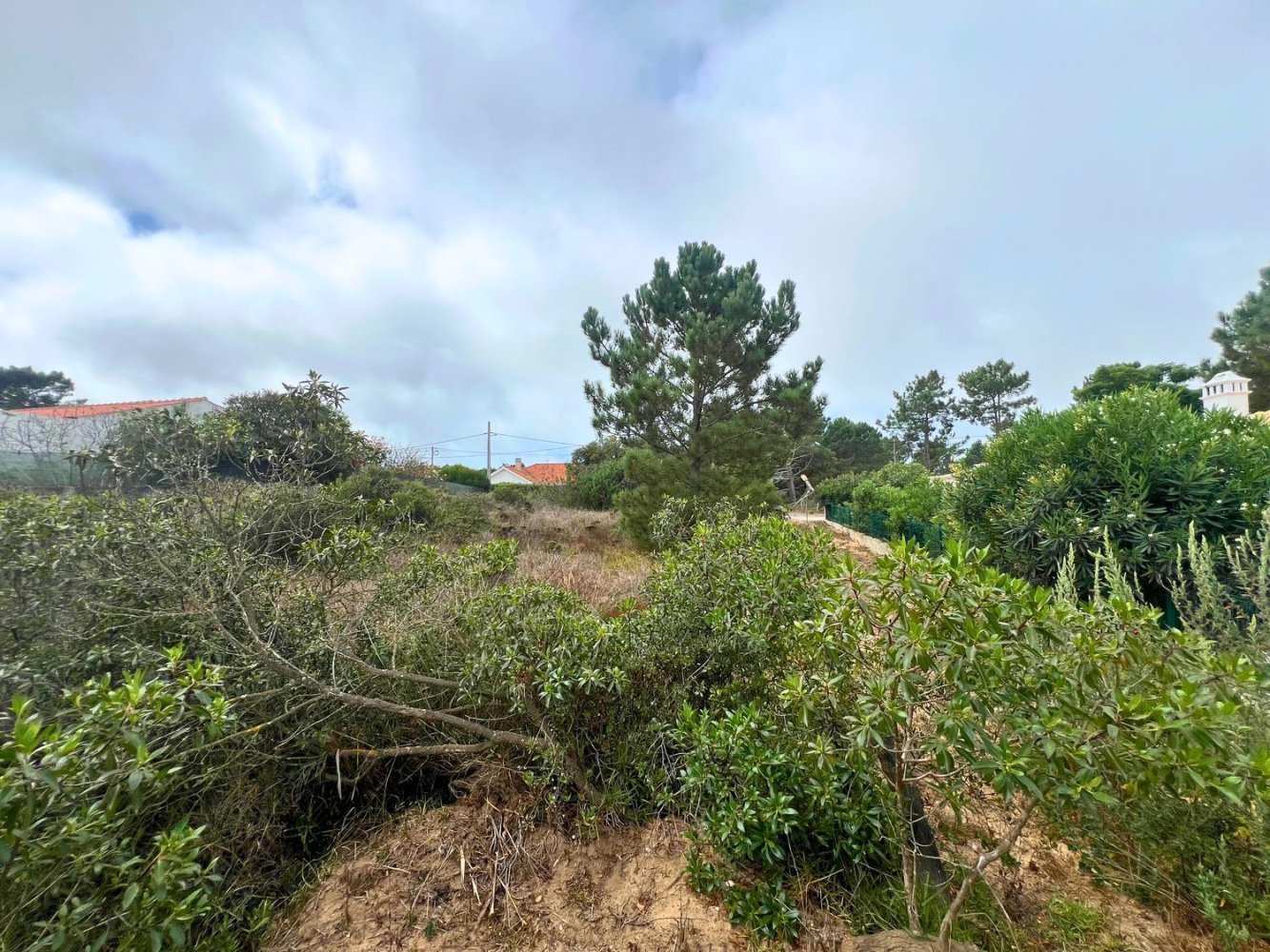  Land in Aljezur, Portugal No. 330895