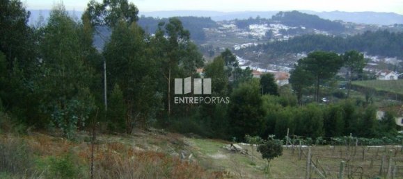 Grundstück in Marco de Canaveses, Portugal 27000m², Nr. 54459 2