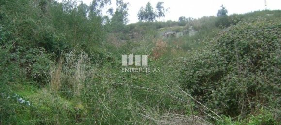 Grundstück in Marco de Canaveses, Portugal 27000m², Nr. 54459 3