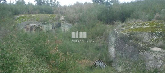 Grundstück in Marco de Canaveses, Portugal 27000m², Nr. 54459 6