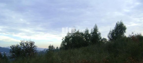 Grundstück in Marco de Canaveses, Portugal 27000m², Nr. 54459 5