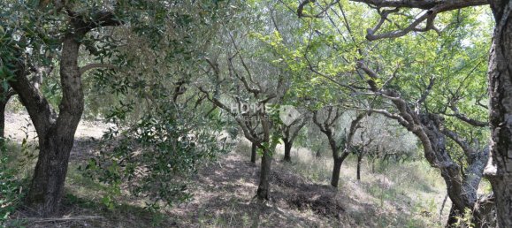 4 bedrooms House in Ripe San Ginesio, Italy No. 365070 23