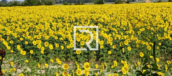 Villa de 5 habitaciónes en Ravenna, Italy No. 314855 19