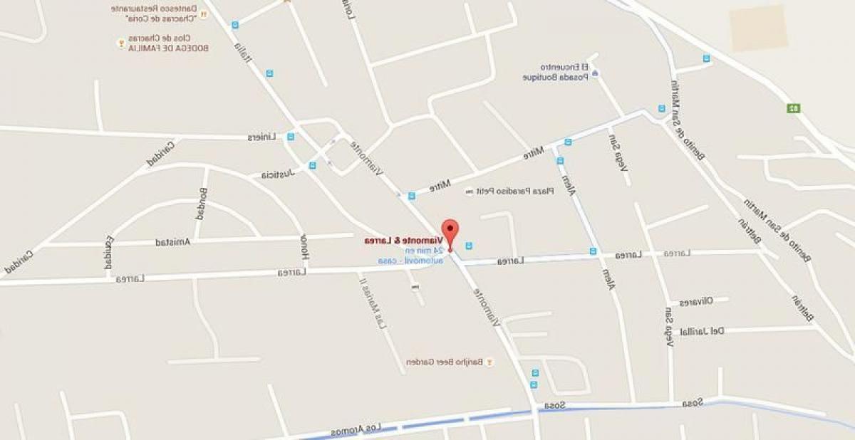  Land in Mendoza, Argentina No. 43032