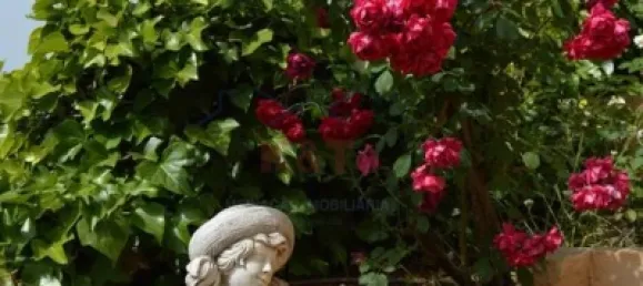 Castillos de 6 dormitorios en Silves, Portugal No. 127487 18