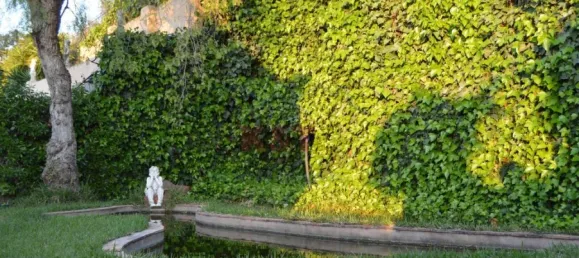 Castillos de 6 dormitorios en Silves, Portugal No. 127487 32