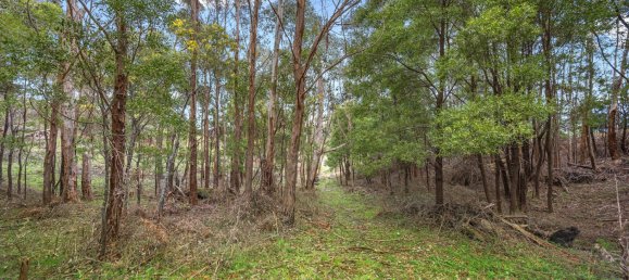 2 chambres Maison à Buxton, Australia No. 213 16