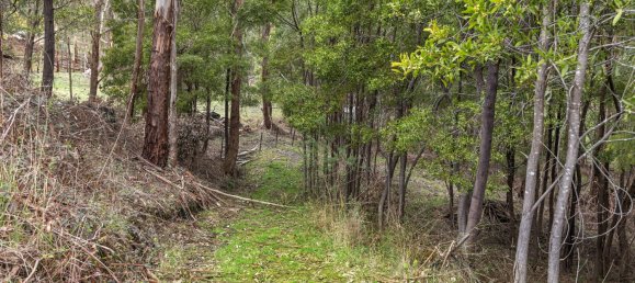2 chambres Maison à Buxton, Australia No. 213 15