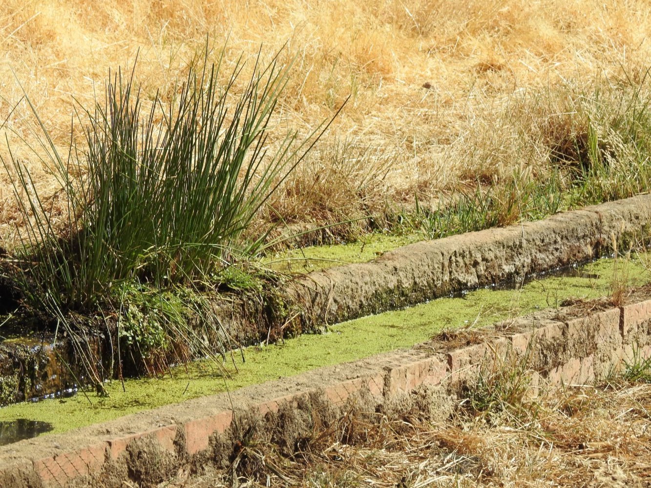 Grundstück in Caceres, Spain 245000m², Nr. 206105