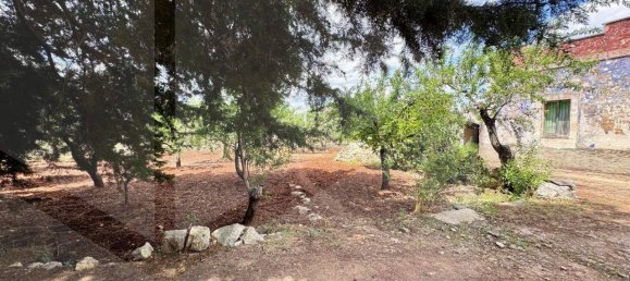 Casa de 3 divisões em Ceglie Messapica, Italy N.º 26576 7