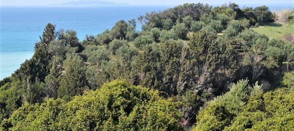 12000m² Hotel in Corfu, Greece No. 5020 16