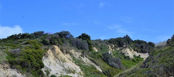 12000m² Hotel in Corfu, Greece No. 5020 14