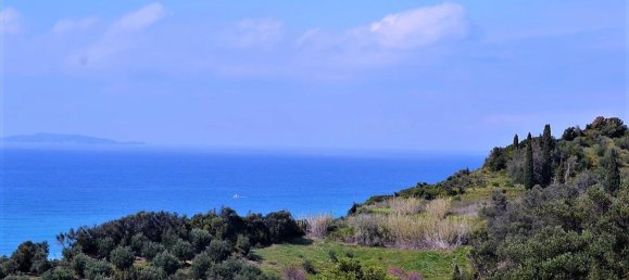 12000m² Hotel in Corfu, Greece No. 5020 6