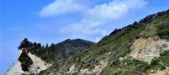 12000m² Hotel in Corfu, Greece No. 5020 13