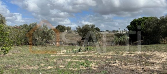 34260m² Land in Montijo, Portugal No. 145280 6
