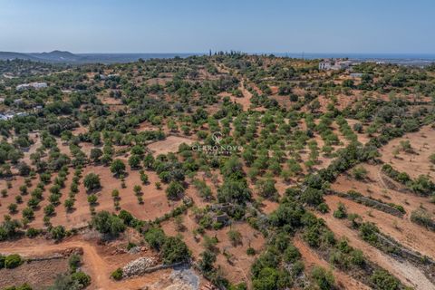 Terrain à Loule, Portugal No. 294126