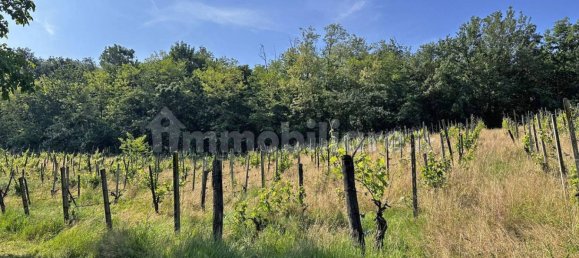 Terreno en Ponte dell'Olio, Italy 18570 m² No. 274701 6