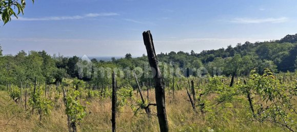 Terreno en Ponte dell'Olio, Italy 18570 m² No. 274701 12