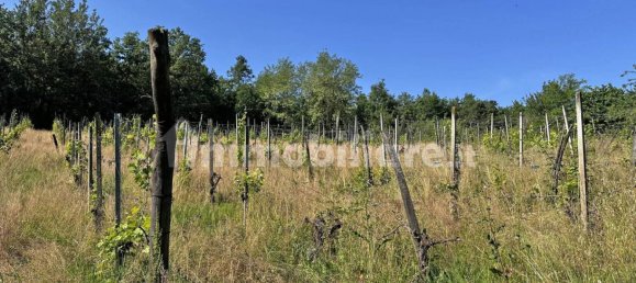 Terreno en Ponte dell'Olio, Italy 18570 m² No. 274701 8