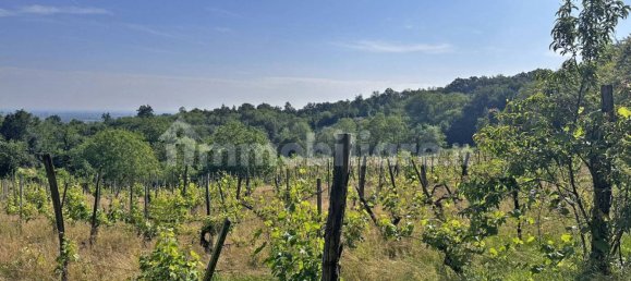 Terreno en Ponte dell'Olio, Italy 18570 m² No. 274701 11