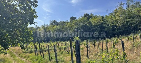 Terreno en Ponte dell'Olio, Italy 18570 m² No. 274701 16