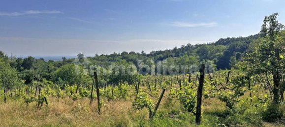 Terreno en Ponte dell'Olio, Italy 18570 m² No. 274701 10