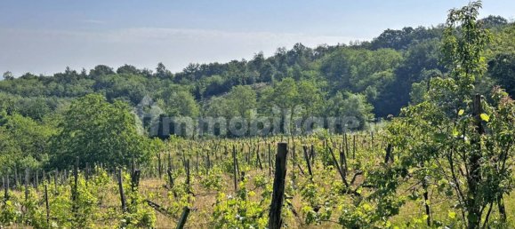 Terreno en Ponte dell'Olio, Italy 18570 m² No. 274701 14