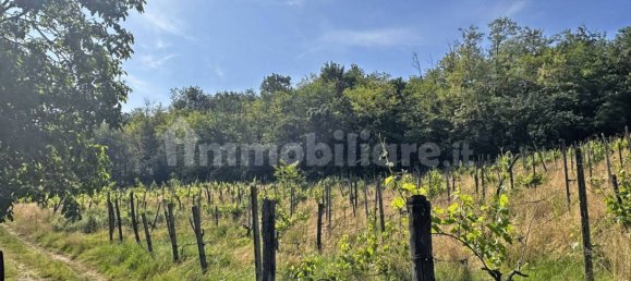 Terreno en Ponte dell'Olio, Italy 18570 m² No. 274701 7