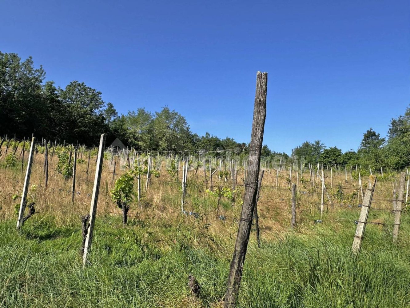 Terreno en Ponte dell'Olio, Italy 18570 m² No. 274701