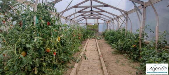 5 Schlafzimmer Haus in Saint-Avit-les-Guespieres, France, Nr. 90304 13