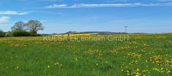  Land in Wartburgkreis, Germany No. 221213 3