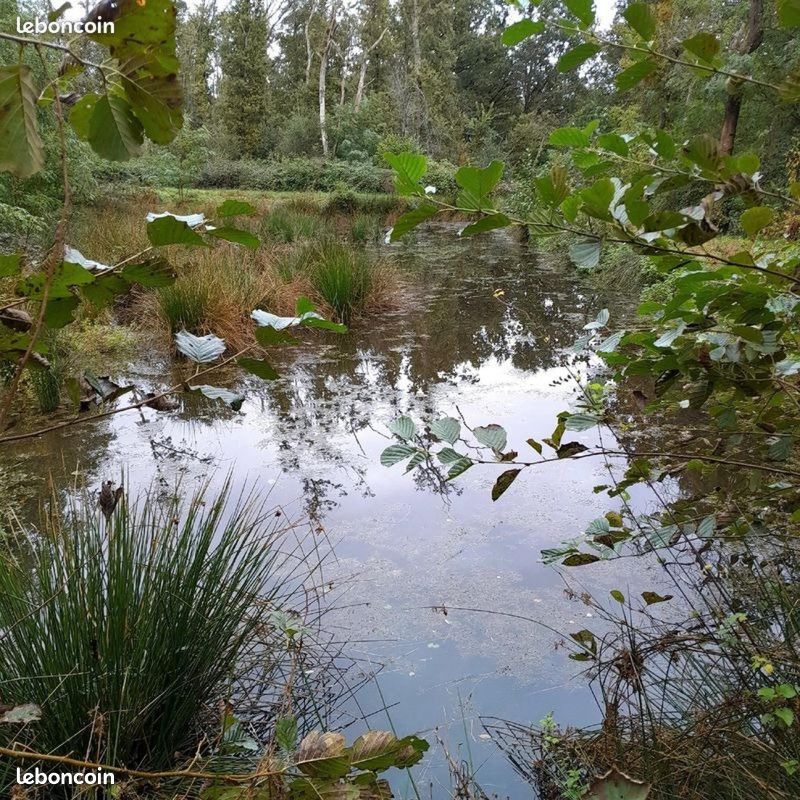 Terrain à Les Bordes, France 5453m² No. 210860
