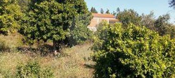 3 bedrooms House in Sardoal, Portugal No. 24161 11