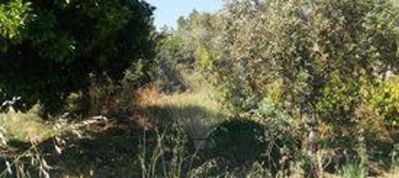 3 bedrooms House in Sardoal, Portugal No. 24161 12