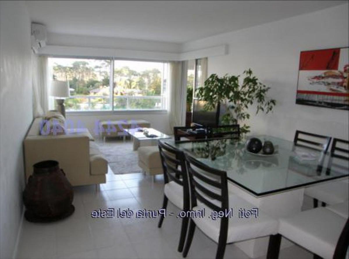 Квартира с 2 спальнями в Пунта-дель-Эсте, Уругвай № 4353