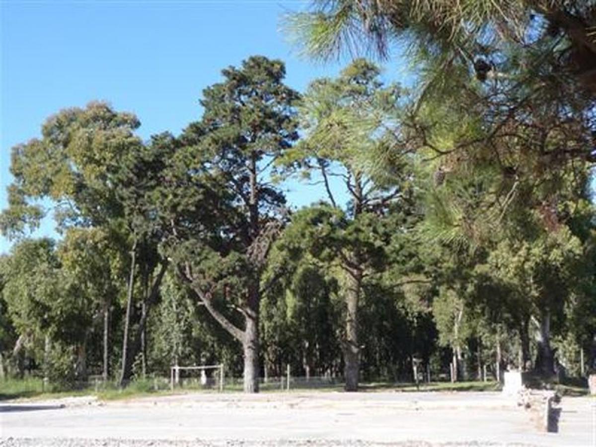  قطعة أرض في Mar del Plata, Argentina رقم 120051