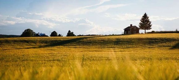 4 bedrooms House in Chambourg-sur-Indre, France No. 330037 3