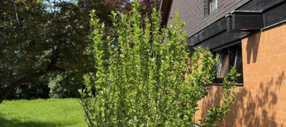 8 rooms House in Rhein-Sieg, Germany No. 299667 7