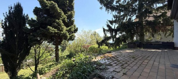 7 rooms House in Klosterneuburg, Austria No. 129062 16