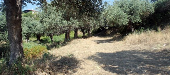 Отель, гостиница 2850м² в Халкидики, Греция № 7696 13