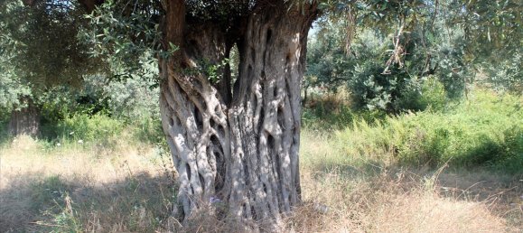 Отель, гостиница 2850м² в Халкидики, Греция № 7696 5