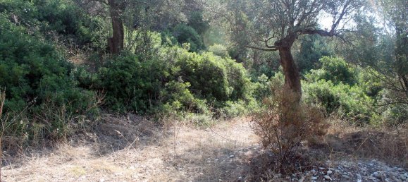 Отель, гостиница 2850м² в Халкидики, Греция № 7696 12