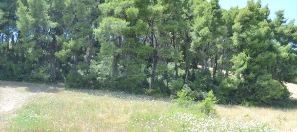 3 bedrooms Commercial property in Chalkidiki, Greece No. 6701 19