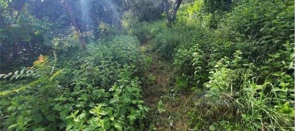 2 bedrooms House in Gemmano, Italy No. 13267 6