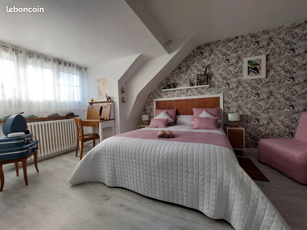 4 Schlafzimmer Haus in La Ferte-Saint-Cyr, France, Nr. 70948