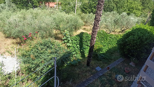 Terrain à Arpino, Italy 120m² No. 309274