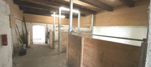 12 rooms House in Schwalm-Eder, Germany No. 231988 9