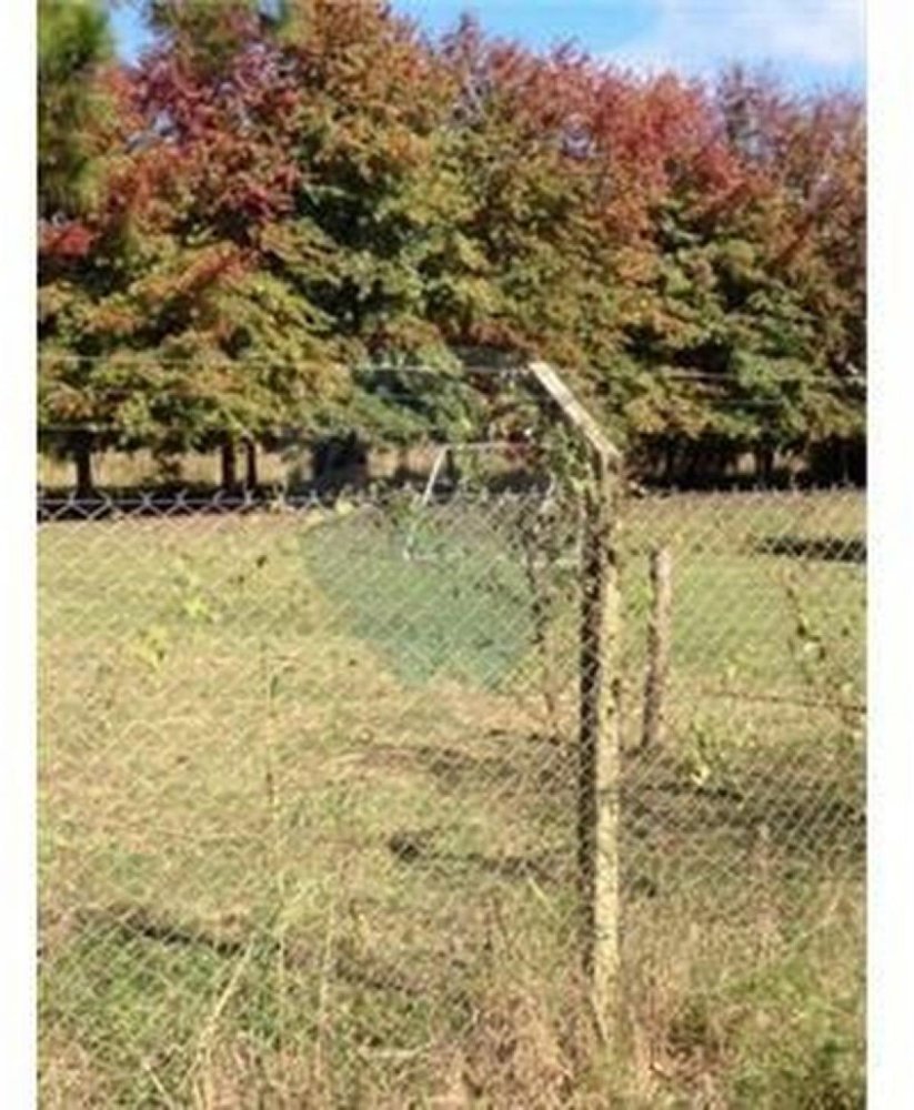  Land in Pilar, Argentina No. 31075