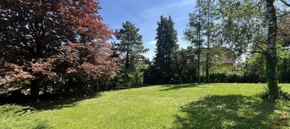 Дом с 3 комнатами в Гросрусбах, Австрия № 210277 4