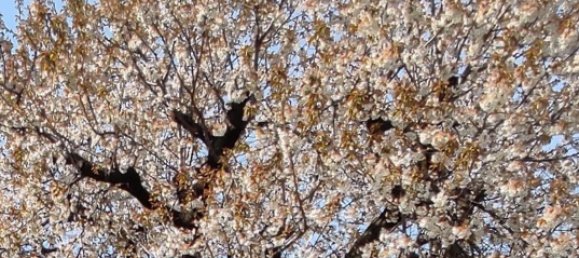 Дом с 5 спальнями в Виллорба, Италия № 354952 8